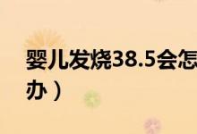 婴儿发烧38.5会怎么样（婴儿发烧38.5怎么办）