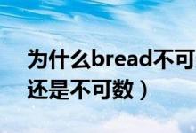 为什么bread不可数cake可数（bread可数还是不可数）