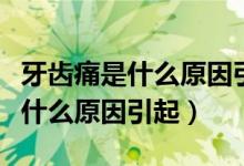 牙齿痛是什么原因引起的吃什么好（牙齿痛是什么原因引起）