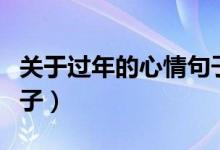 关于过年的心情句子（关于过年的经典心情句子）