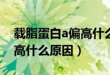 载脂蛋白a偏高什么原因引起（载脂蛋白A偏高什么原因）