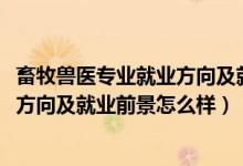 畜牧兽医专业就业方向及就业前景（2022畜牧兽医专业就业方向及就业前景怎么样）