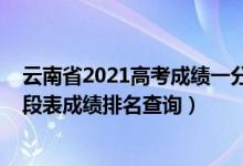 云南省2021高考成绩一分一段表（云南2022年高考一分一段表成绩排名查询）