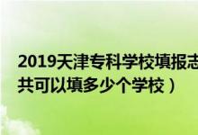 2019天津专科学校填报志愿（2022年天津高考专科志愿一共可以填多少个学校）