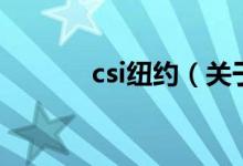 csi纽约（关于csi纽约的介绍）