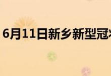 6月11日新乡新型冠状病毒肺炎疫情最新消息