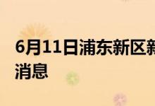 6月11日浦东新区新型冠状病毒肺炎疫情最新消息