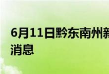 6月11日黔东南州新型冠状病毒肺炎疫情最新消息