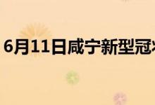 6月11日咸宁新型冠状病毒肺炎疫情最新消息