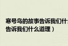 寒号鸟的故事告诉我们什么道理用一句名言（寒号鸟的故事告诉我们什么道理）