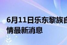 6月11日乐东黎族自治县新型冠状病毒肺炎疫情最新消息