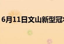 6月11日文山新型冠状病毒肺炎疫情最新消息