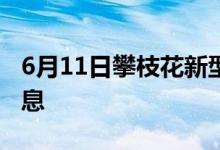 6月11日攀枝花新型冠状病毒肺炎疫情最新消息