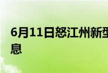 6月11日怒江州新型冠状病毒肺炎疫情最新消息