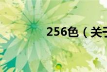 256色（关于256色的介绍）