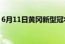 6月11日黄冈新型冠状病毒肺炎疫情最新消息