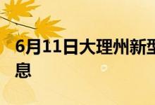 6月11日大理州新型冠状病毒肺炎疫情最新消息