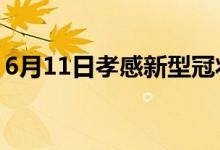 6月11日孝感新型冠状病毒肺炎疫情最新消息