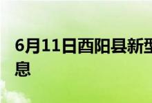 6月11日酉阳县新型冠状病毒肺炎疫情最新消息