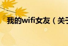 我的wifi女友（关于我的wifi女友的介绍）