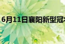 6月11日襄阳新型冠状病毒肺炎疫情最新消息