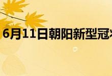 6月11日朝阳新型冠状病毒肺炎疫情最新消息