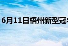 6月11日梧州新型冠状病毒肺炎疫情最新消息