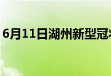 6月11日湖州新型冠状病毒肺炎疫情最新消息