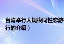 台湾举行大规模同性恋游行（关于台湾举行大规模同性恋游行的介绍）