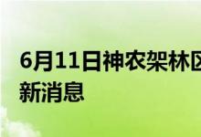 6月11日神农架林区新型冠状病毒肺炎疫情最新消息