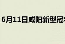 6月11日咸阳新型冠状病毒肺炎疫情最新消息