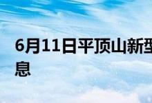 6月11日平顶山新型冠状病毒肺炎疫情最新消息