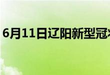 6月11日辽阳新型冠状病毒肺炎疫情最新消息