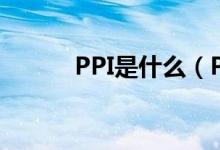 PPI是什么（PPI是什么意思啊）