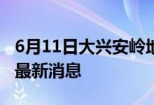 6月11日大兴安岭地区新型冠状病毒肺炎疫情最新消息