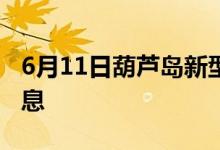 6月11日葫芦岛新型冠状病毒肺炎疫情最新消息