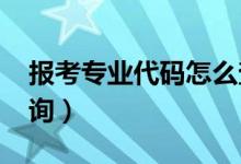 报考专业代码怎么查2020（大学专业代码查询）