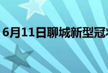 6月11日聊城新型冠状病毒肺炎疫情最新消息