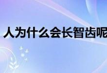 人为什么会长智齿呢（人为什么会长智齿呢）