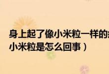 身上起了像小米粒一样的疙瘩是怎么回事（身上起小疙瘩像小米粒是怎么回事）