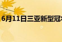 6月11日三亚新型冠状病毒肺炎疫情最新消息