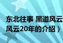 东北往事 黑道风云20年（关于东北往事 黑道风云20年的介绍）