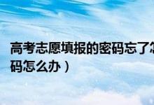 高考志愿填报的密码忘了怎么办（2022高考报志愿忘记了密码怎么办）