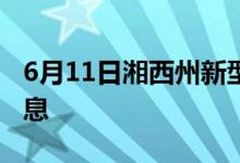 6月11日湘西州新型冠状病毒肺炎疫情最新消息