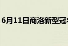 6月11日商洛新型冠状病毒肺炎疫情最新消息