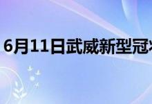 6月11日武威新型冠状病毒肺炎疫情最新消息