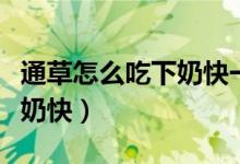 通草怎么吃下奶快一次吃多少（通草怎么吃下奶快）