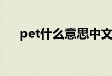 pet什么意思中文医学（pet什么意思）