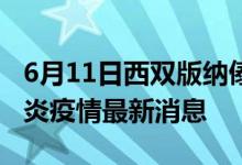 6月11日西双版纳傣族自治州新型冠状病毒肺炎疫情最新消息