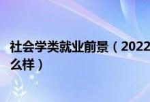 社会学类就业前景（2022社会学专业就业方向及就业前景怎么样）